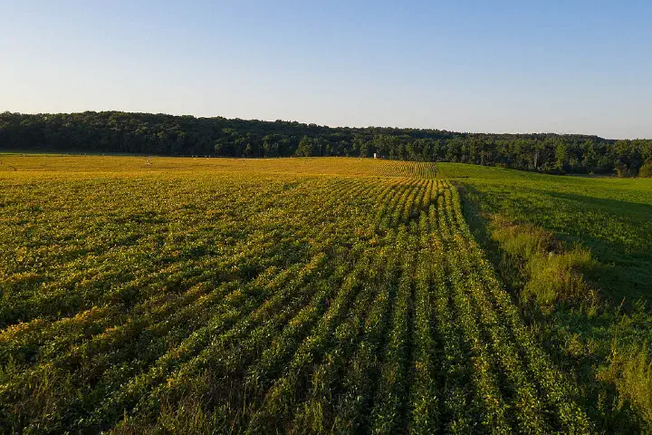 If used, credit must be given to the United Soybean Board or the Soybean Checkoff