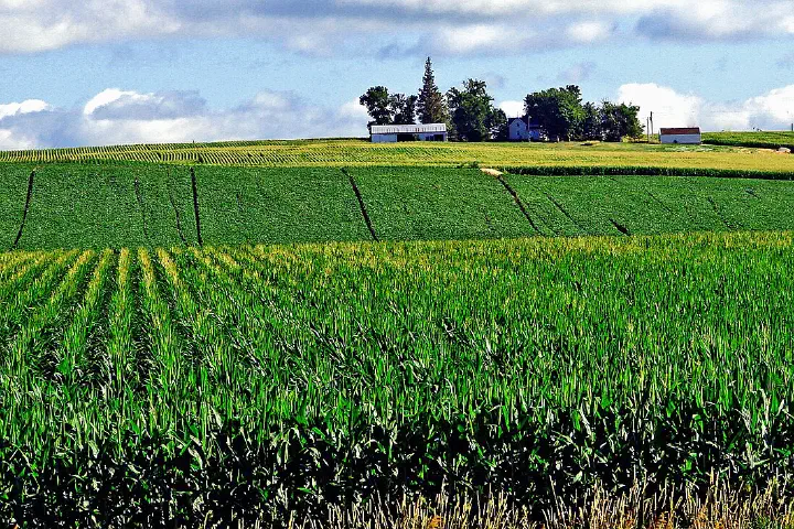 (1 in a multiple picture album) This is one of the few small farm homesteads to see in Northwest Iowa