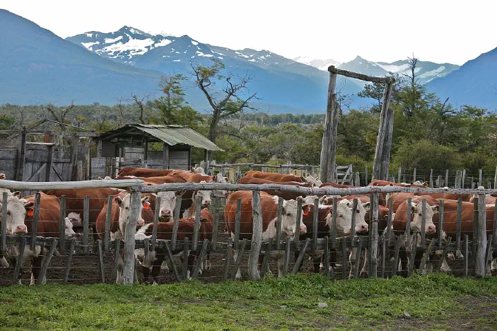 Nibepo - Aike Ranch, El Calafate