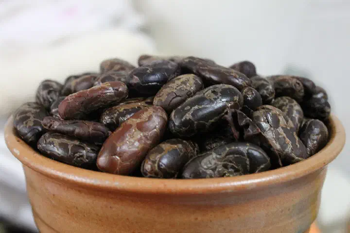 Cacao Tostato listo para el molino