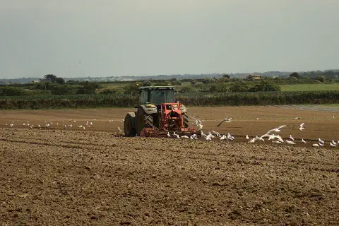 One tractor cultivating a field