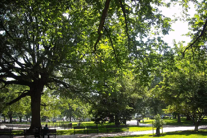 Lafayette Square in front of the White House, Washington, D.C
