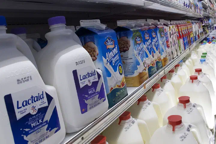 Milk Aisle Grocery Store
