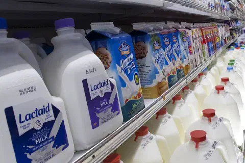 Milk Aisle Grocery Store