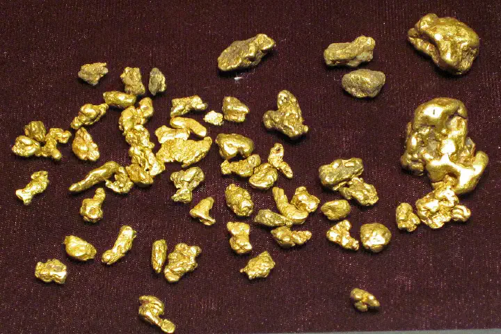 Gold nuggets (placer gold) from Colorado, USA. (DMNH 8057, Denver Museum of Nature &amp; Science, Denver