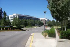 An intersection on the Microsoft Redmond campus.