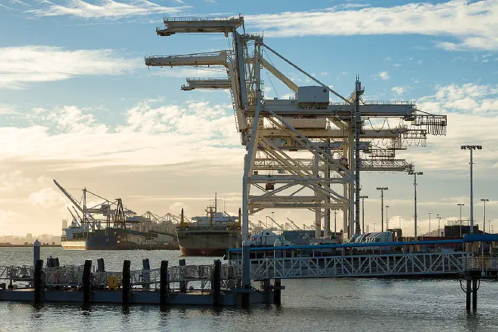 Cranes at Oakland's container terminal