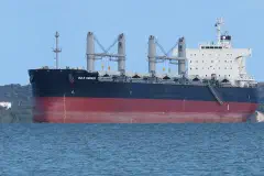 The bulk carrier Bulk Monaco in Cockburn Sound, Western Australia, seen from near the CGH Grain Jetty, with Garden Island in the background.